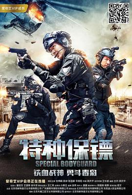 神艺缘视频影视海报