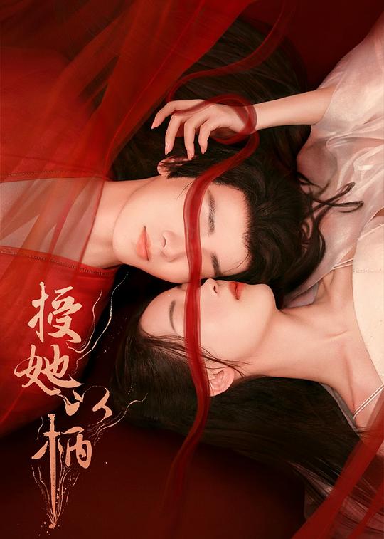 龟甲小说目录列表阅读影视海报